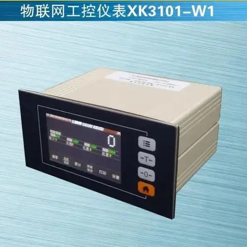 带仪表控制器